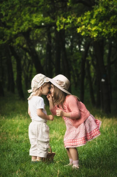 Erste Blüten — Stockfoto