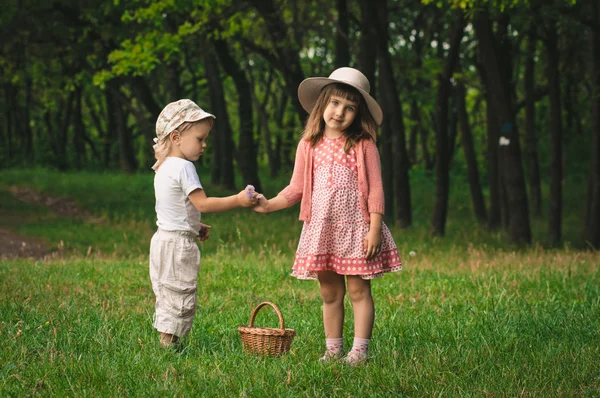 Erste Blüten — Stockfoto