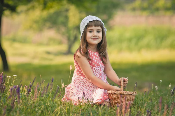 On the field — Stock Photo, Image