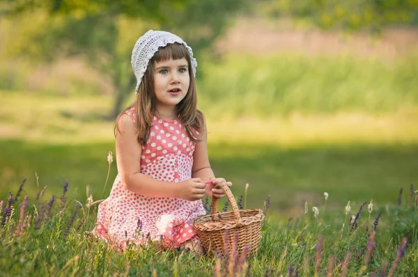 On the field — Stock Photo, Image