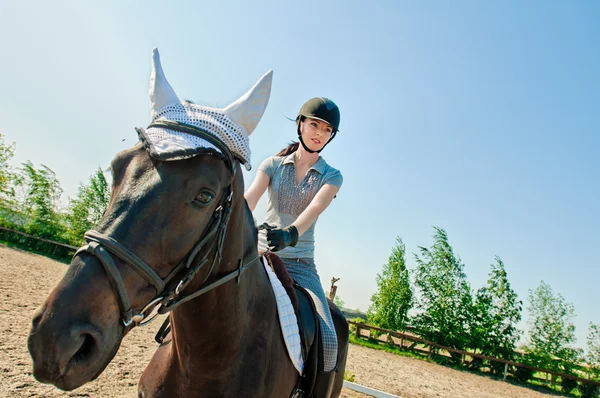 Op een paard — Stockfoto