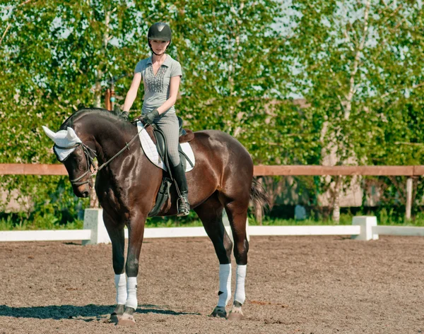 Riding — Stock Photo, Image