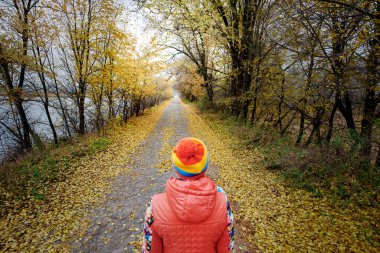 Sonbahar yollu manzara