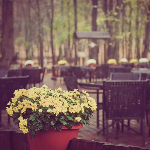 Cafe op regenachtige dag — Stockfoto