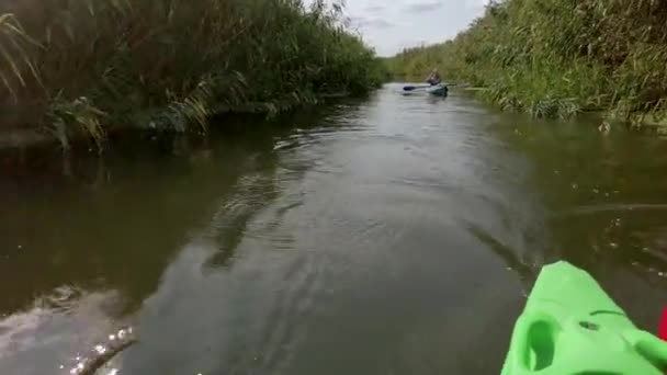 2021年7月23日 活跃的皮划艇手周末用芦苇在小河上划桨 从船尾远眺 — 图库视频影像