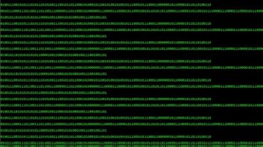 Bilgisayar ekranında yeşil dijital veri kodu