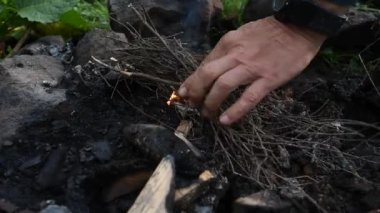Karpatya ormanlarında yakacak odun toplayan erkek turist.