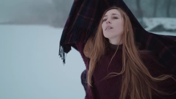 一个女孩在冰湖上欣赏雪景 — 图库视频影像