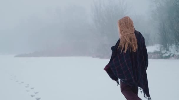 Une Fille Profitant Paysage Neige Sur Lac Glace — Video