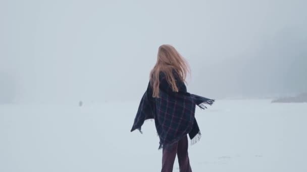 一个女孩在冰湖上欣赏雪景 — 图库视频影像