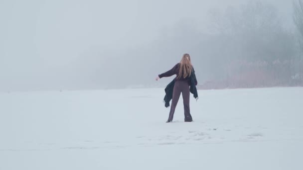 Une Fille Profitant Paysage Neige Sur Lac Glace — Video