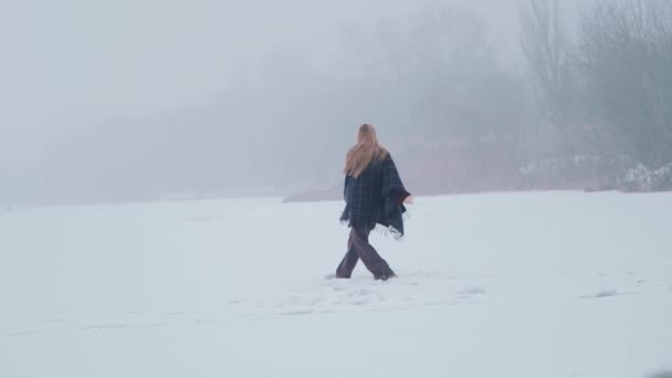 Une Fille Profitant Paysage Neige Sur Lac Glace — Video