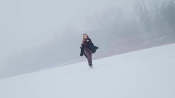 Ένα Κορίτσι Απολαμβάνει Τοπίο Χιόνι Στην Παγωμένη Λίμνη — Αρχείο Βίντεο