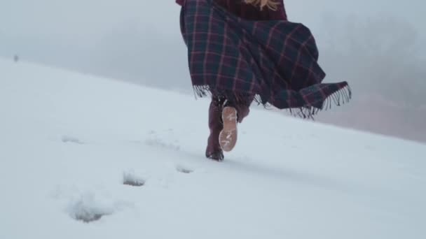 Дівчина Насолоджується Сніговим Пейзажем Льодовиковому Озері — стокове відео
