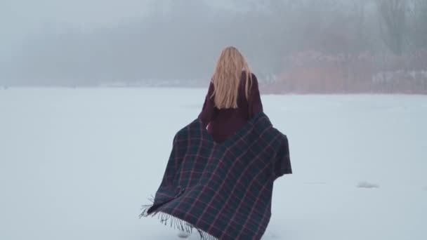 Ένα Κορίτσι Απολαμβάνει Τοπίο Χιόνι Στην Παγωμένη Λίμνη — Αρχείο Βίντεο