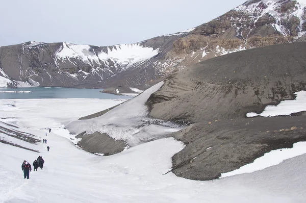 Misleiding eiland, Antarctica — Stockfoto