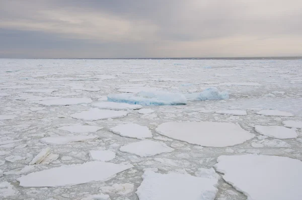 Oceano congelado na Antártida — Fotografia de Stock