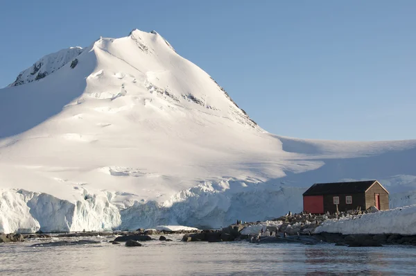 南極の小さな家 ロイヤリティフリーのストック画像