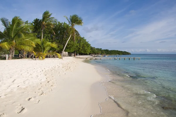 一些棕榈树在海洋附近的小岛的海滩上 — 图库照片