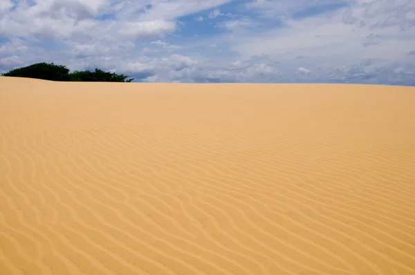 Desert — Stock Photo, Image