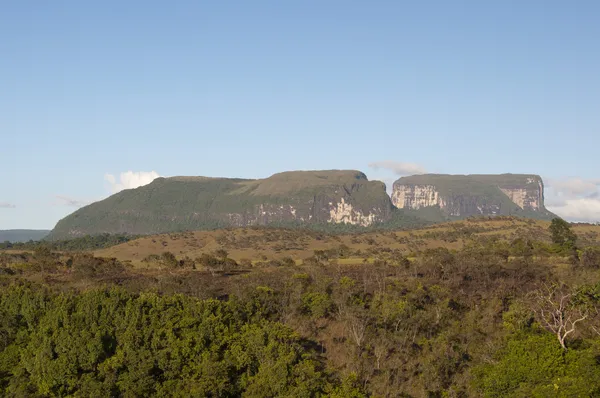 Parcul Național Canaima. Venezuela — Fotografie, imagine de stoc