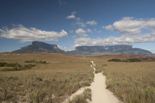 Camino a la meseta de Roraima. Venezuela — Foto de Stock