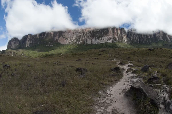 Jalan menuju dataran tinggi Roraima. Venezuela — Stok Foto