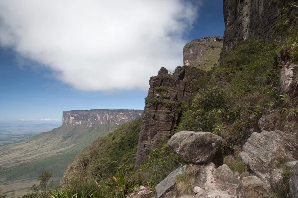 Roraima Yaylası. Venezuela