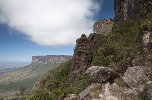 Dataran tinggi Roraima. Venezuela — Stok Foto