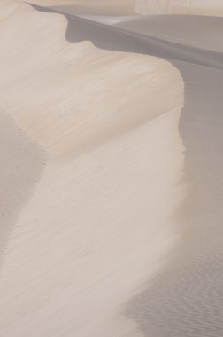 kum tepeleri Sokotra Adası, yemen