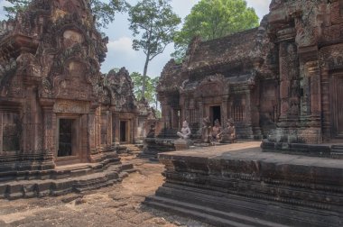 tapınakta angkor Kamboçya