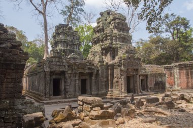 tapınakta angkor Kamboçya