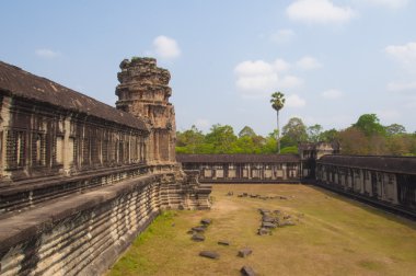 tapınakta angkor Kamboçya