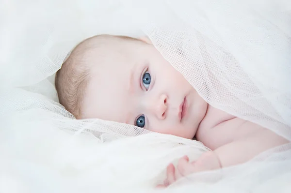 Wonderful little baby — Stock Photo, Image