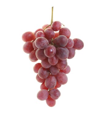 kırmızı üzüm