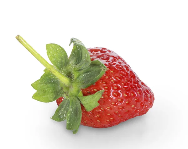 Schöne Erdbeeren — Stockfoto