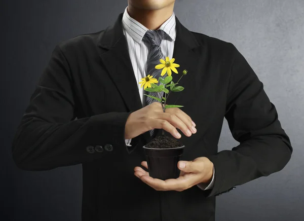 Plant in de hand — Stockfoto