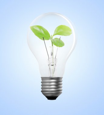 ampule alternatif enerji kavramı