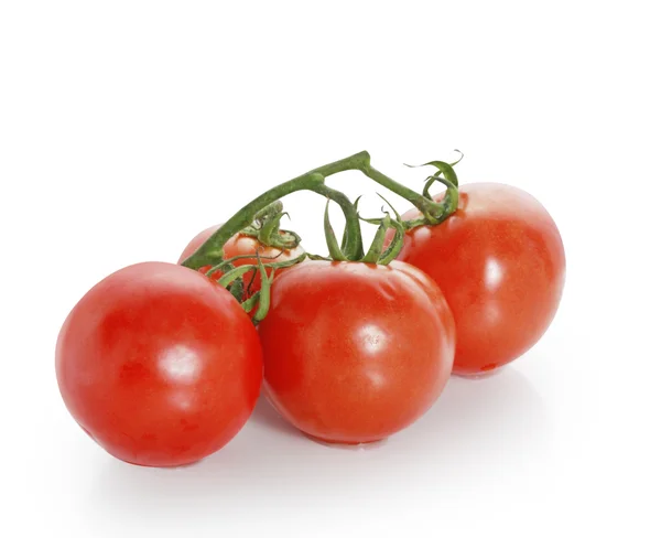 Rote Tomaten — Stockfoto