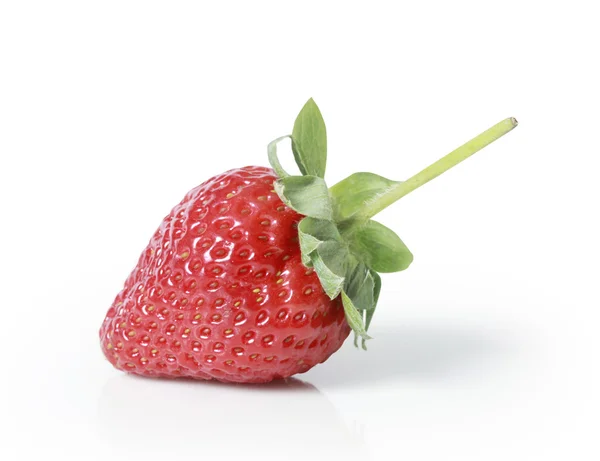 美丽的草莓 — 图库照片