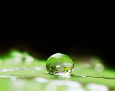 Su yaprakların üzerine düşer.