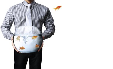 birinden diğerine goldfishes uçan