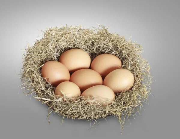 Hnědá vejce v hnízdě seno — Stock fotografie