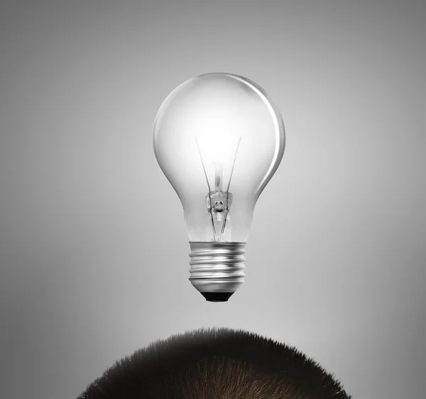 Ламп-голова — стоковое фото