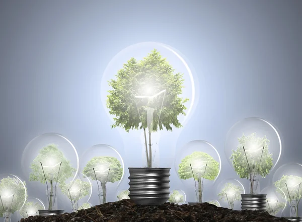 Light bulb Alternative energy concept — Stock Photo, Image