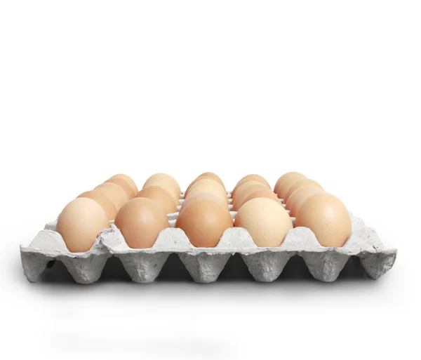 Braune Eier in Eischachtel auf weißem Hintergrund — Stockfoto