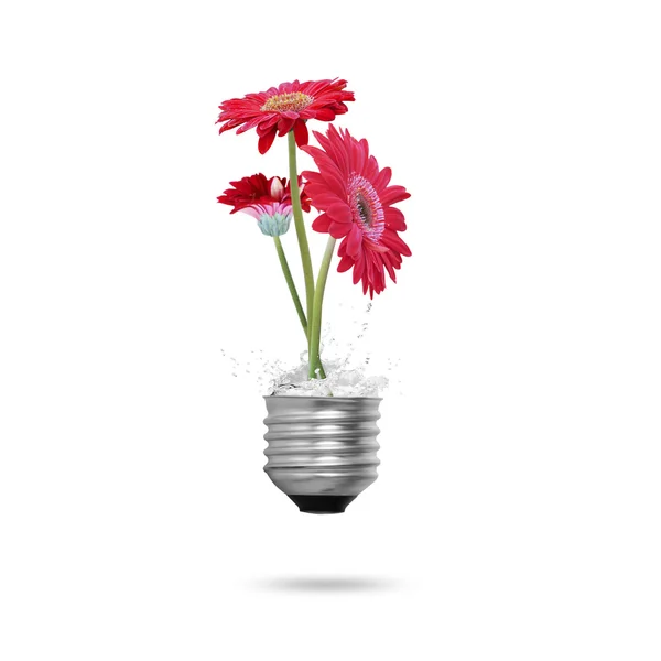 Light bulb — Stock Photo, Image