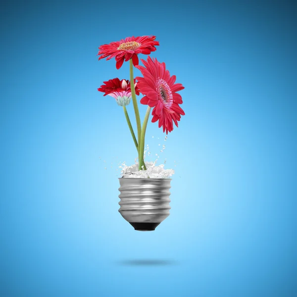 Light bulb — Stock Photo, Image