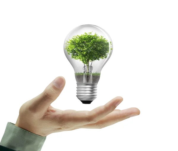 Light bulb, in hand — Stock Photo, Image