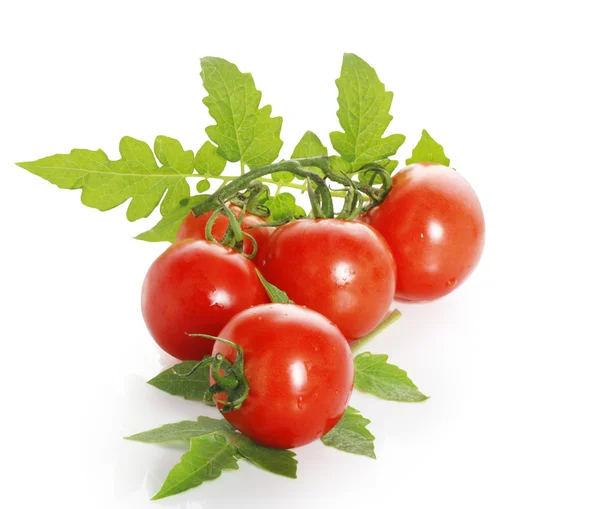 Red tomatoes — Stock Photo, Image